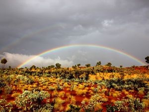 Preview wallpaper rainbow, bushes, wild west, vegetation, sand