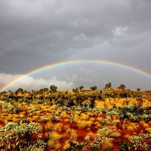 Preview wallpaper rainbow, bushes, wild west, vegetation, sand