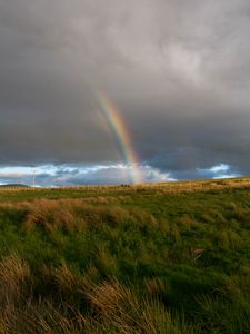 Preview wallpaper rainbow, clouds, field, nature, landscape