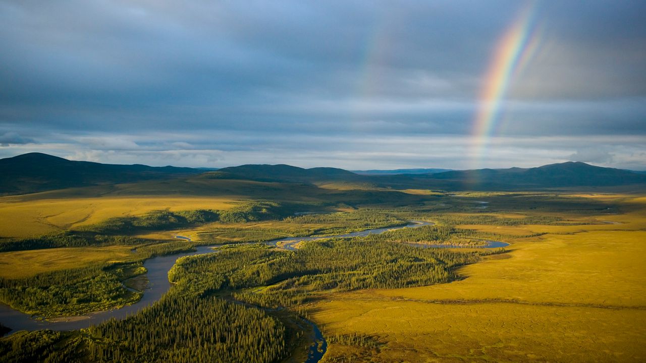 Wallpaper rainbow, field, river, grass, nature