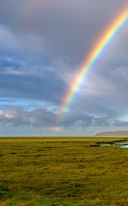 Preview wallpaper rainbow, field, summer, nature, landscape