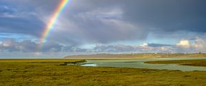 Preview wallpaper rainbow, field, summer, nature, landscape