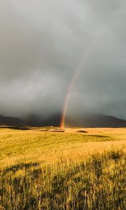 Preview wallpaper rainbow, fog, grass, field