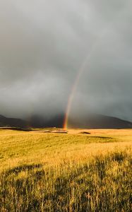 Preview wallpaper rainbow, fog, grass, field