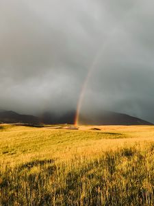 Preview wallpaper rainbow, fog, grass, field
