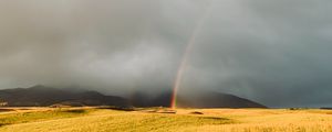Preview wallpaper rainbow, fog, grass, field