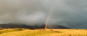 Preview wallpaper rainbow, fog, grass, field