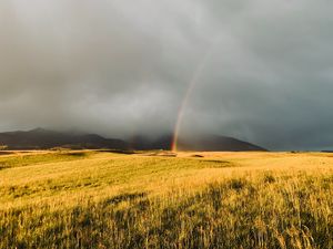 Preview wallpaper rainbow, fog, grass, field