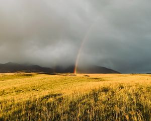 Preview wallpaper rainbow, fog, grass, field