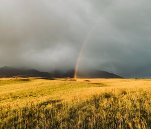 Preview wallpaper rainbow, fog, grass, field