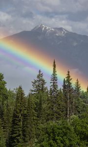 Preview wallpaper rainbow, mountain, trees, forest, landscape