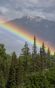 Preview wallpaper rainbow, mountain, trees, forest, landscape