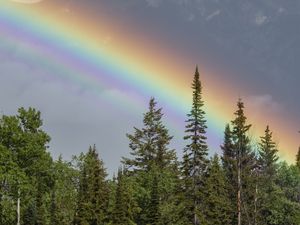 Preview wallpaper rainbow, mountain, trees, forest, landscape