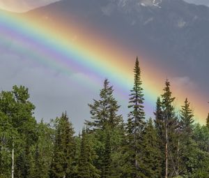 Preview wallpaper rainbow, mountain, trees, forest, landscape