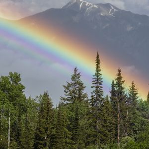 Preview wallpaper rainbow, mountain, trees, forest, landscape