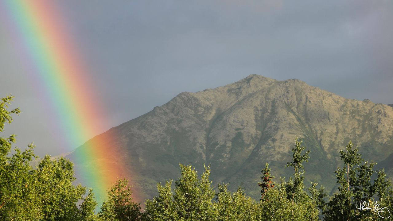 Wallpaper rainbow, mountains, trees, nature, landscape