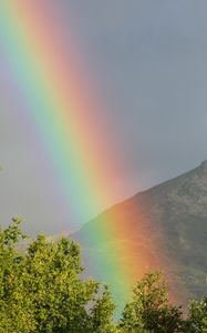 Preview wallpaper rainbow, mountains, trees, nature, landscape