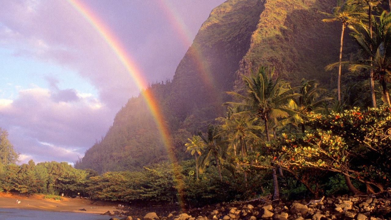 Wallpaper rainbow, sky, stones, clouds, palm trees, coast, hawaii