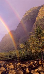 Preview wallpaper rainbow, sky, stones, clouds, palm trees, coast, hawaii