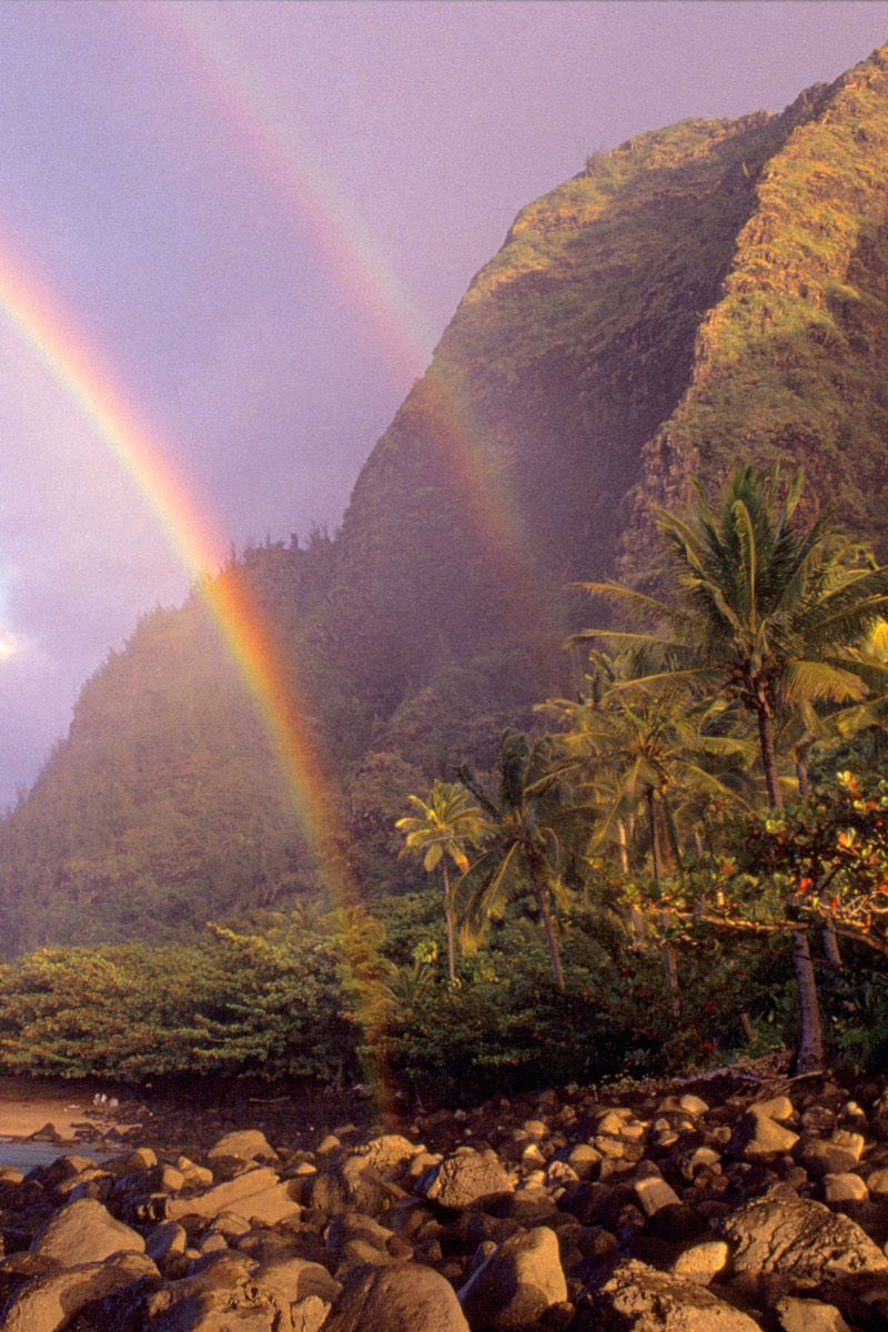 Download wallpaper 800x1200 rainbow, sky, stones, clouds, palm trees,  coast, hawaii iphone 4s/4 for parallax hd background