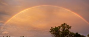 Preview wallpaper rainbow, sky, trees, leaves