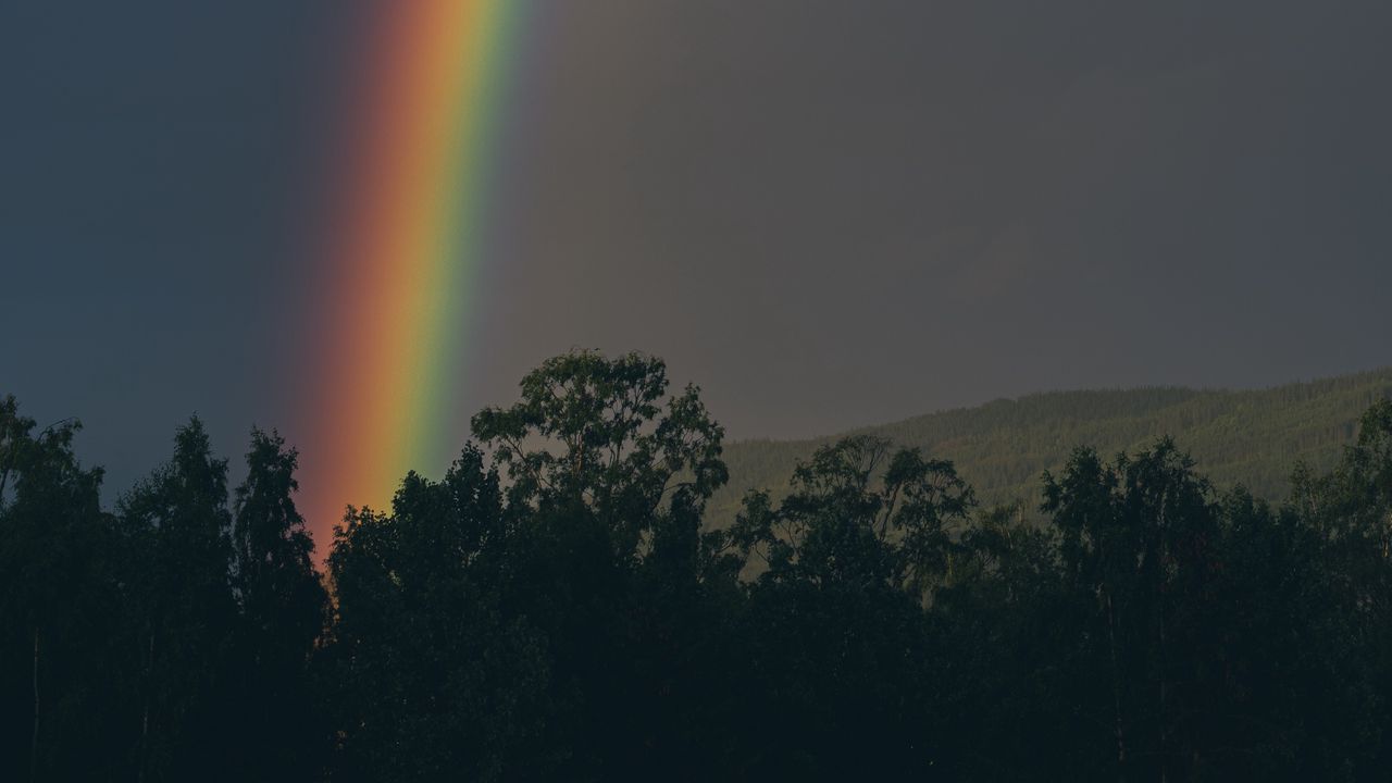 Wallpaper rainbow, sky, trees, nature