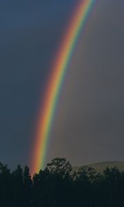 Preview wallpaper rainbow, sky, trees, nature