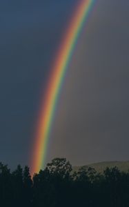 Preview wallpaper rainbow, sky, trees, nature