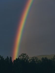 Preview wallpaper rainbow, sky, trees, nature