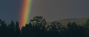 Preview wallpaper rainbow, sky, trees, nature