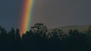 Preview wallpaper rainbow, sky, trees, nature