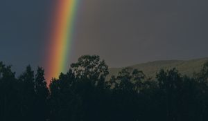 Preview wallpaper rainbow, sky, trees, nature