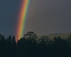 Preview wallpaper rainbow, sky, trees, nature