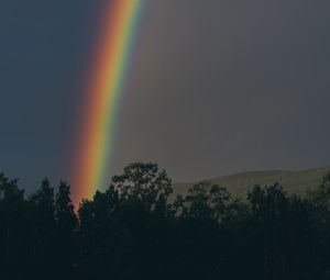 Preview wallpaper rainbow, sky, trees, nature