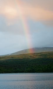 Preview wallpaper rainbow, trees, lake, nature, landscape