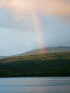 Preview wallpaper rainbow, trees, lake, nature, landscape