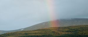 Preview wallpaper rainbow, trees, lake, nature, landscape