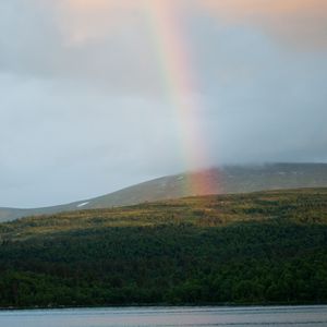 Preview wallpaper rainbow, trees, lake, nature, landscape