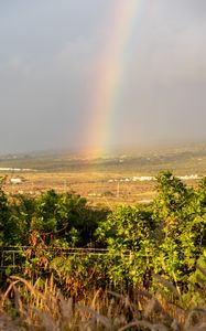 Preview wallpaper rainbow, trees, nature, landscape, field