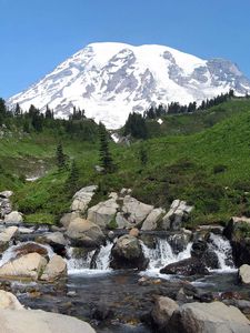 Preview wallpaper rainier, washington, usa, mountain, river