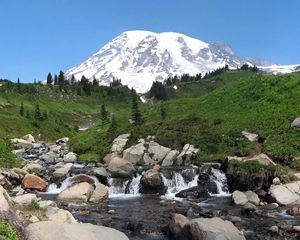 Preview wallpaper rainier, washington, usa, mountain, river