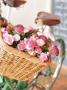 Preview wallpaper ranunkulyus, basket, flowers, bike, board
