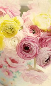 Preview wallpaper ranunkulyus, flowers, vase, tenderness