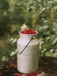 Preview wallpaper raspberries, berries, can, harvest