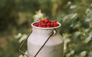 Preview wallpaper raspberries, berries, can, harvest