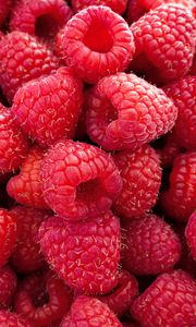 Preview wallpaper raspberries, berries, food