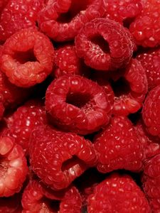 Preview wallpaper raspberries, berries, fresh, ripe, red