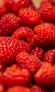 Preview wallpaper raspberries, berries, fruits, macro