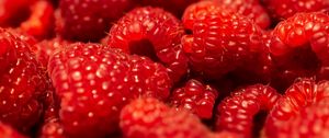 Preview wallpaper raspberries, berries, fruits, macro