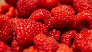 Preview wallpaper raspberries, berries, fruits, macro